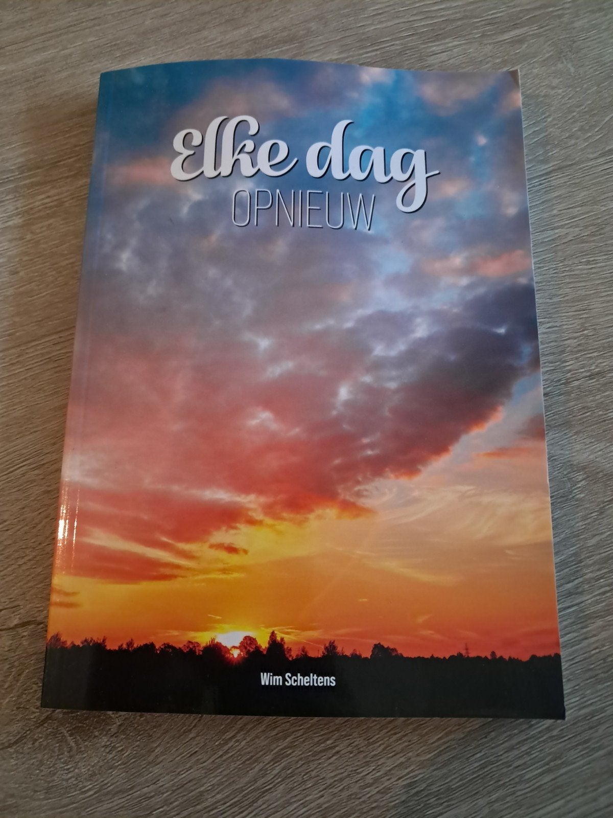 G: Elke dag opnieuw - Wim Scheltens (Boek), Boeken, Ophalen of Verzenden, Zo goed als nieuw, Wim Scheltens, Nederland