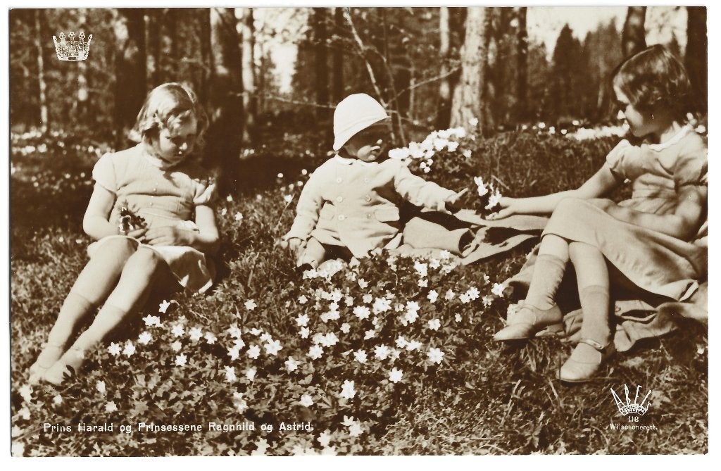 Noorwegen (21) Ragnhild, Astrid, Harald, Verzamelen, Ophalen of Verzenden, Nieuw, Buitenland, Kaart, Foto of Prent