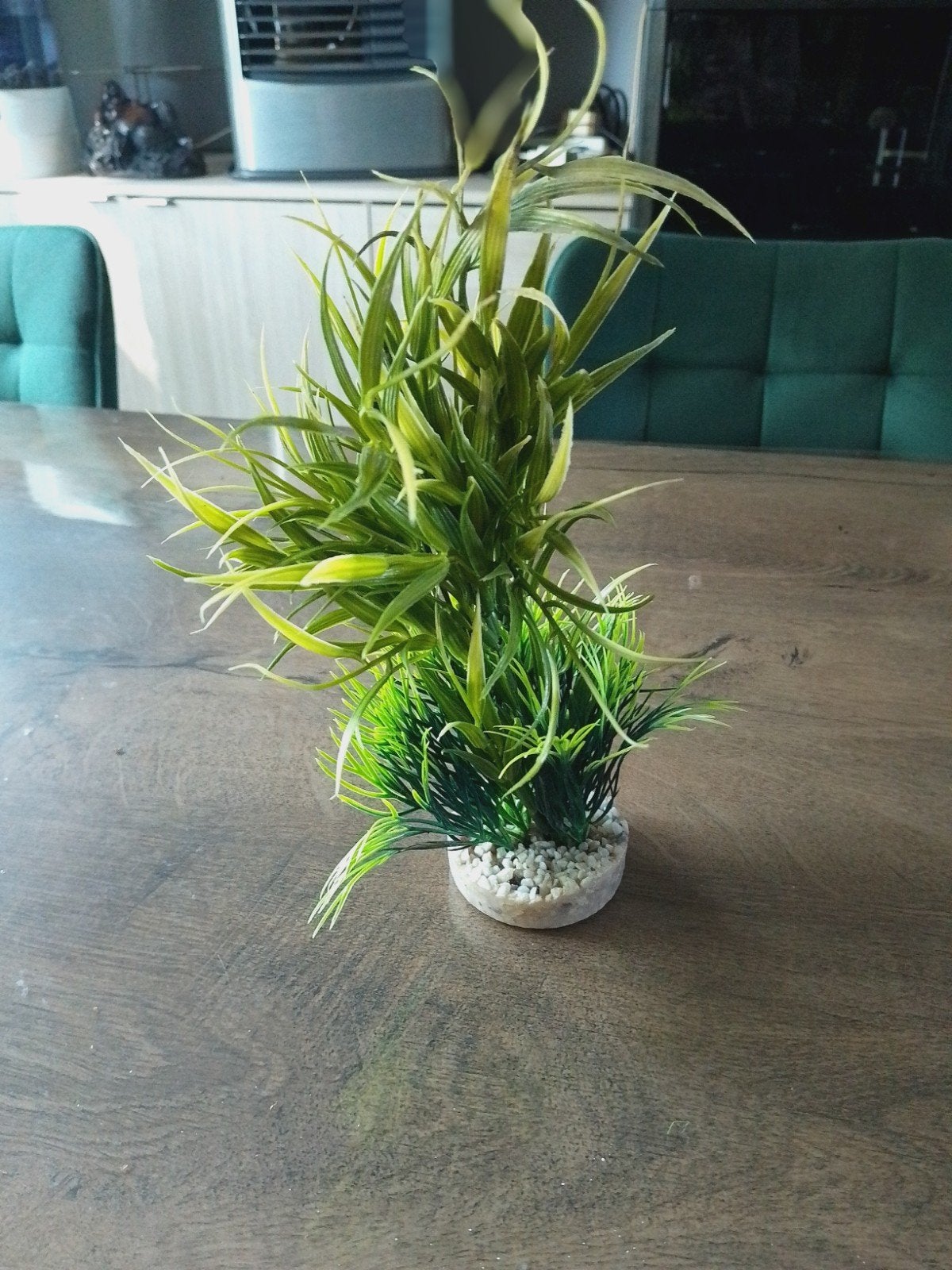 Aquarium deco, Dieren en Toebehoren, Ophalen