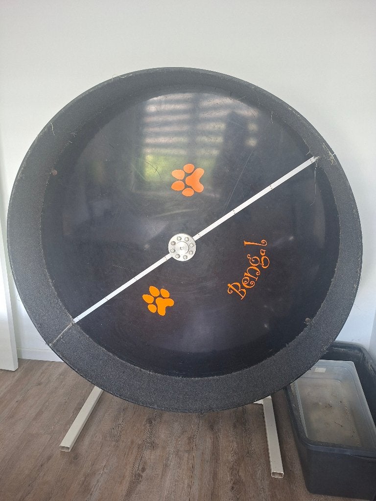 Cat wheel, Ophalen, Gebruikt, Intelligentiespeelgoed