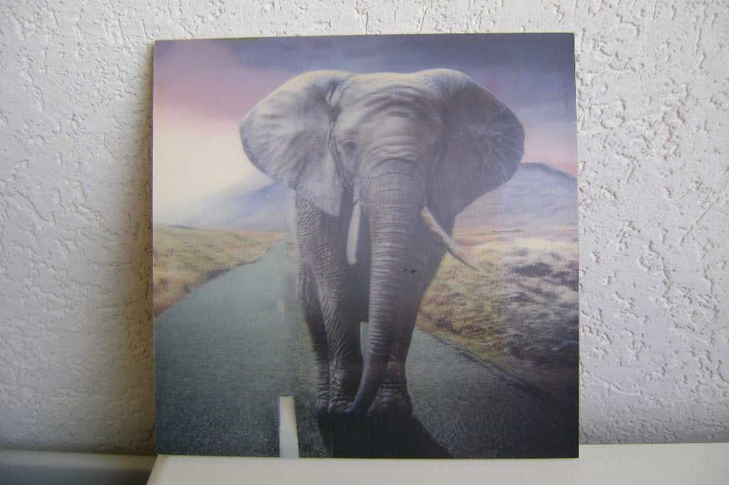 grijze 3d olifant op houten lijst van 30x30cm, Ophalen of Verzenden, Zo goed als nieuw, Wanddecoratie, Ophangbaar