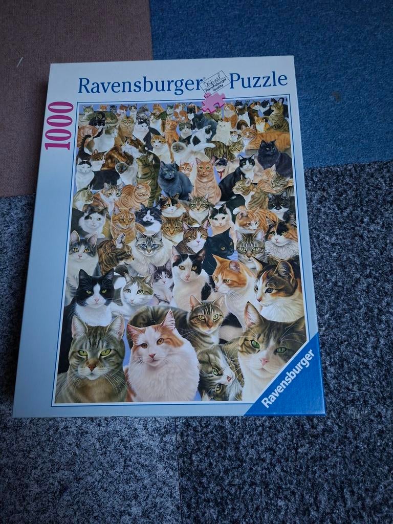 Legpuzzel 1000 st. katten, Ophalen, 500 t/m 1500 stukjes, Gebruikt