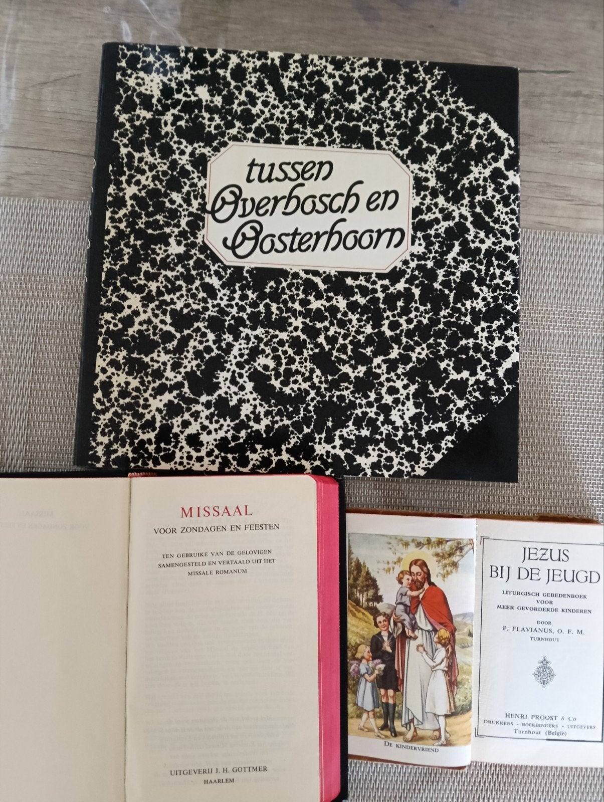 Diverse religieuze boeken en streekroman, Antiek en Kunst, Ophalen of Verzenden, P. Flavianus, O.F.M., Dr. J.U. Postma, Mr. A.S. de Blécourt