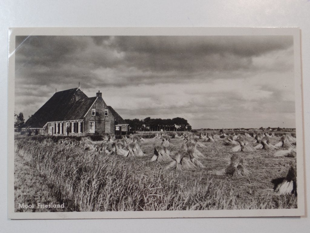 Mooi Friesland 3 korenschoven, Ophalen of Verzenden, 1940 tot 1960, Ongelopen, Friesland