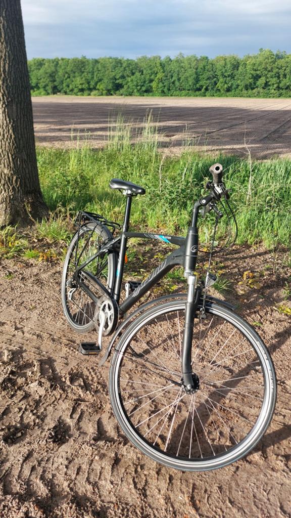Oxford herenfiets H50 - Zwart/Blauw, Ophalen, Gebruikt, Overige merken, Versnellingen