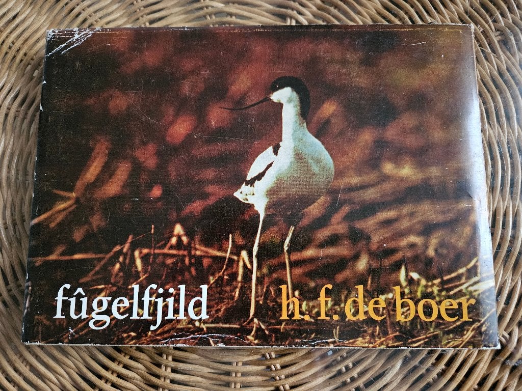 Fugelfjild door H.F. de Boer, Boeken, Ophalen of Verzenden, Zo goed als nieuw