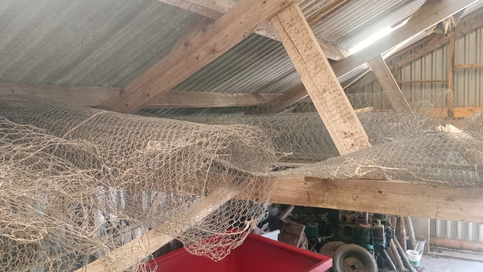 Kippengaas - Diverse lengtes beschikbaar, Tuin en Terras, Ophalen, Gebruikt, 20 meter of meer, Gaas