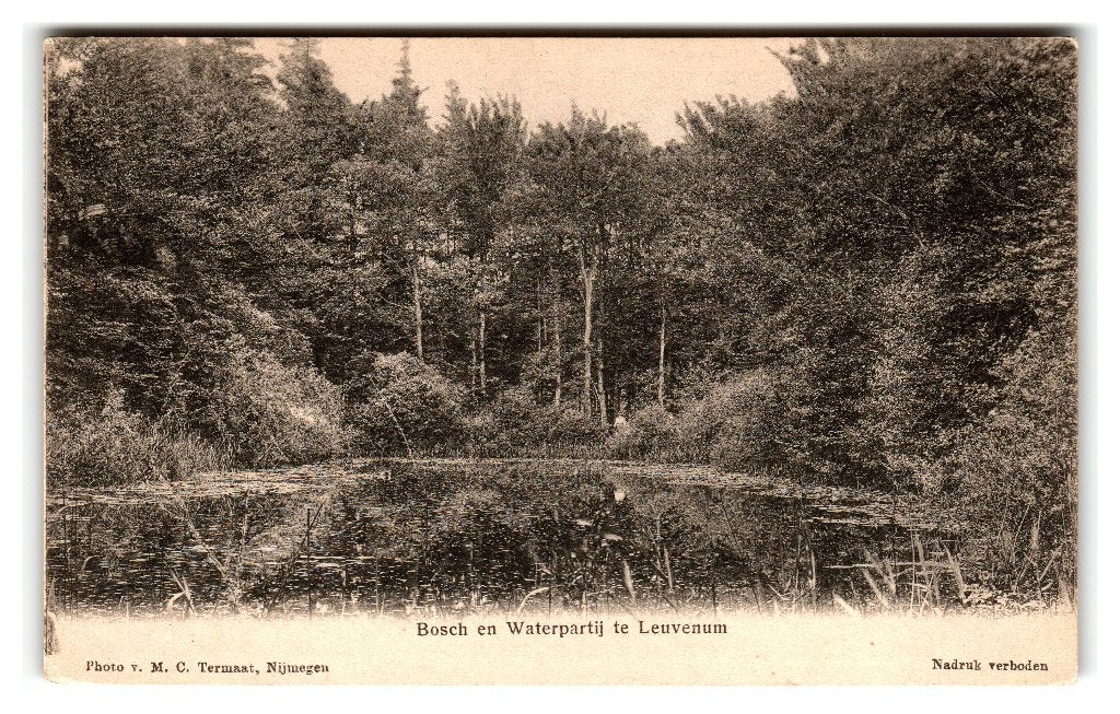 Leuvenum, Bosch en Waterpartij te Leuvenum, Verzenden, Voor 1920, Ongelopen, Gelderland