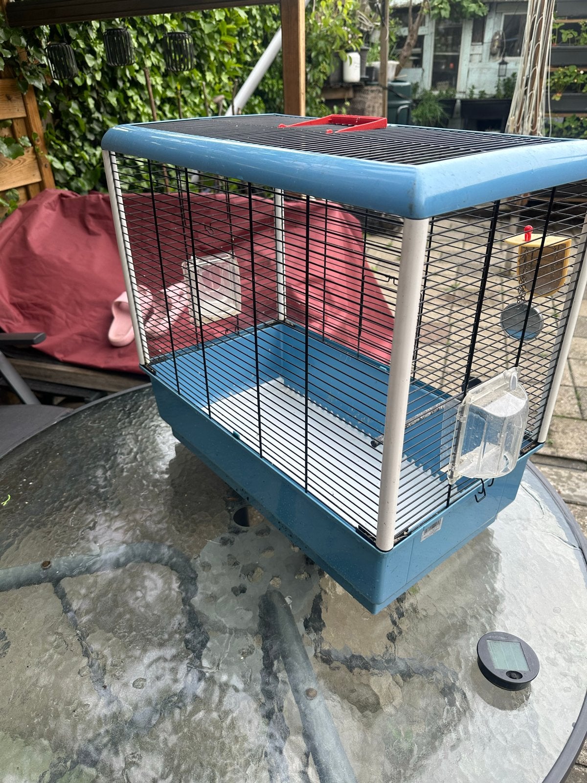 Vogels kooi, Ophalen of Verzenden