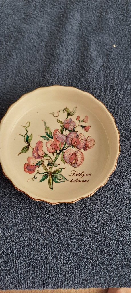 Villeroy  Lathyrus  tuberosus, Ophalen of Verzenden, Overige typen