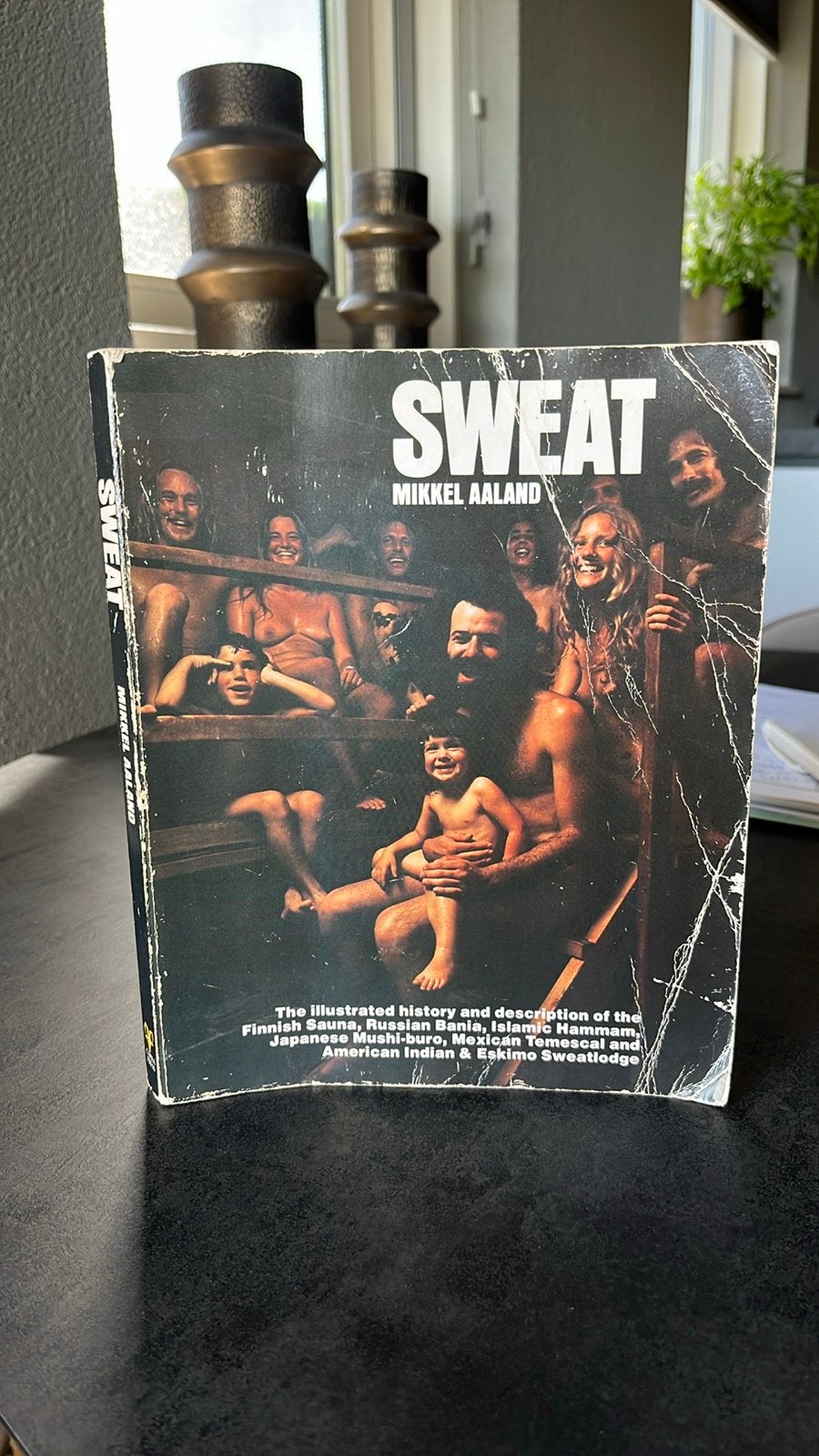 Sweat M Aaland.Geïllustreerde geschiedenis van zweetrituelen, Boeken, Ophalen of Verzenden, Gelezen