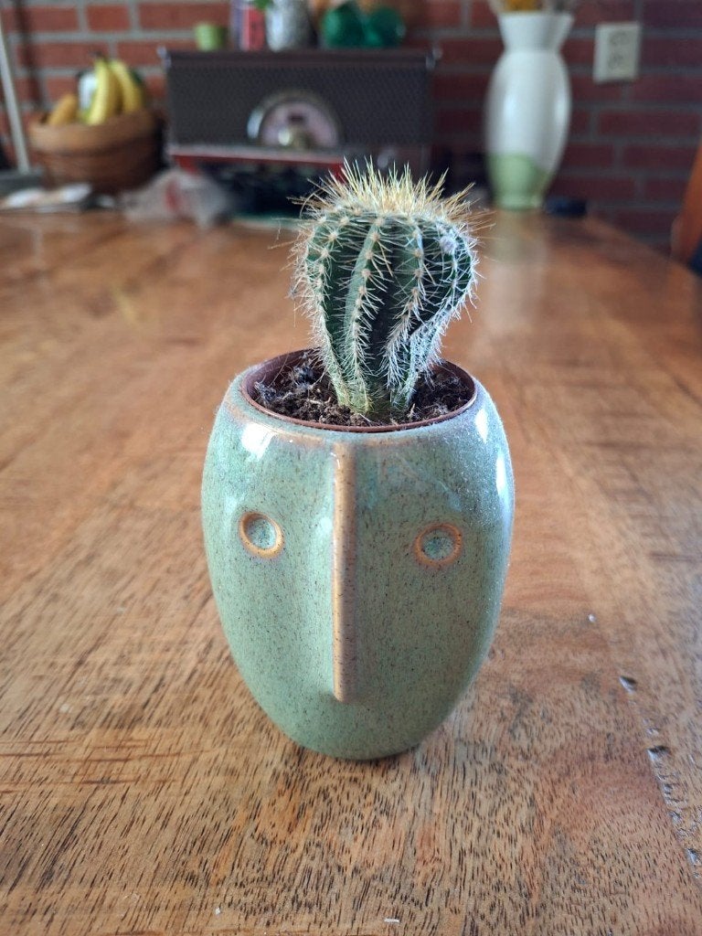 Plantenpot klein schattig, Tuin en Terras, Bloempotten, Rond, Ophalen of Verzenden, Zo goed als nieuw, Aardewerk