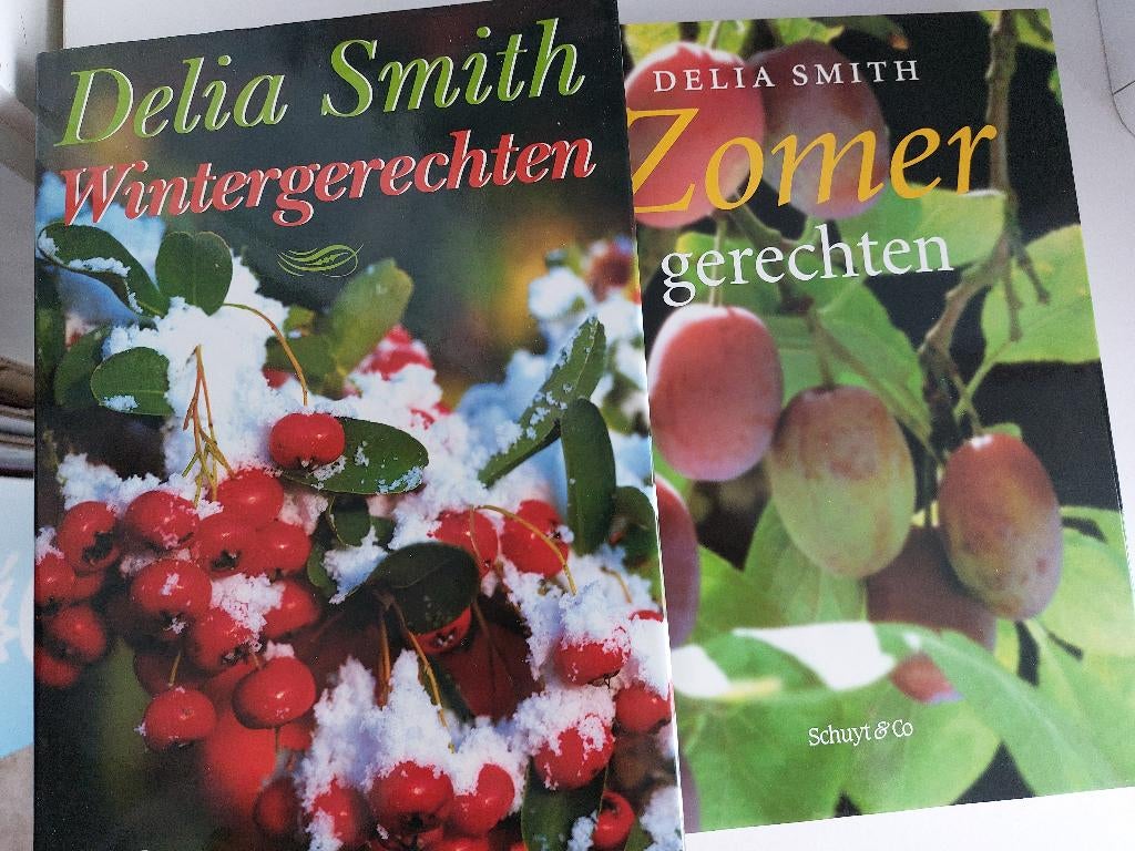 Zomergerechten & Wintergerechten (Delia Smith), Ophalen of Verzenden, Gelezen, Delia Smith