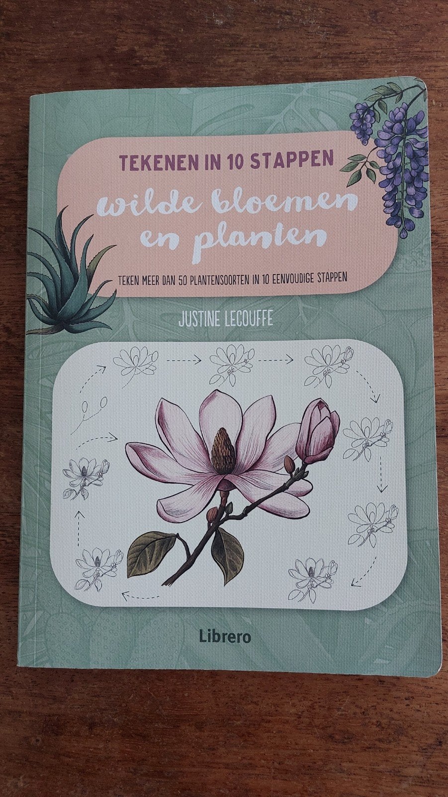 Tekenen in 10 stappen: Wilde bloemen en planten, Boeken, Hobby en Vrije tijd, Ophalen of Verzenden, Nieuw, Tekenen en Schilderen