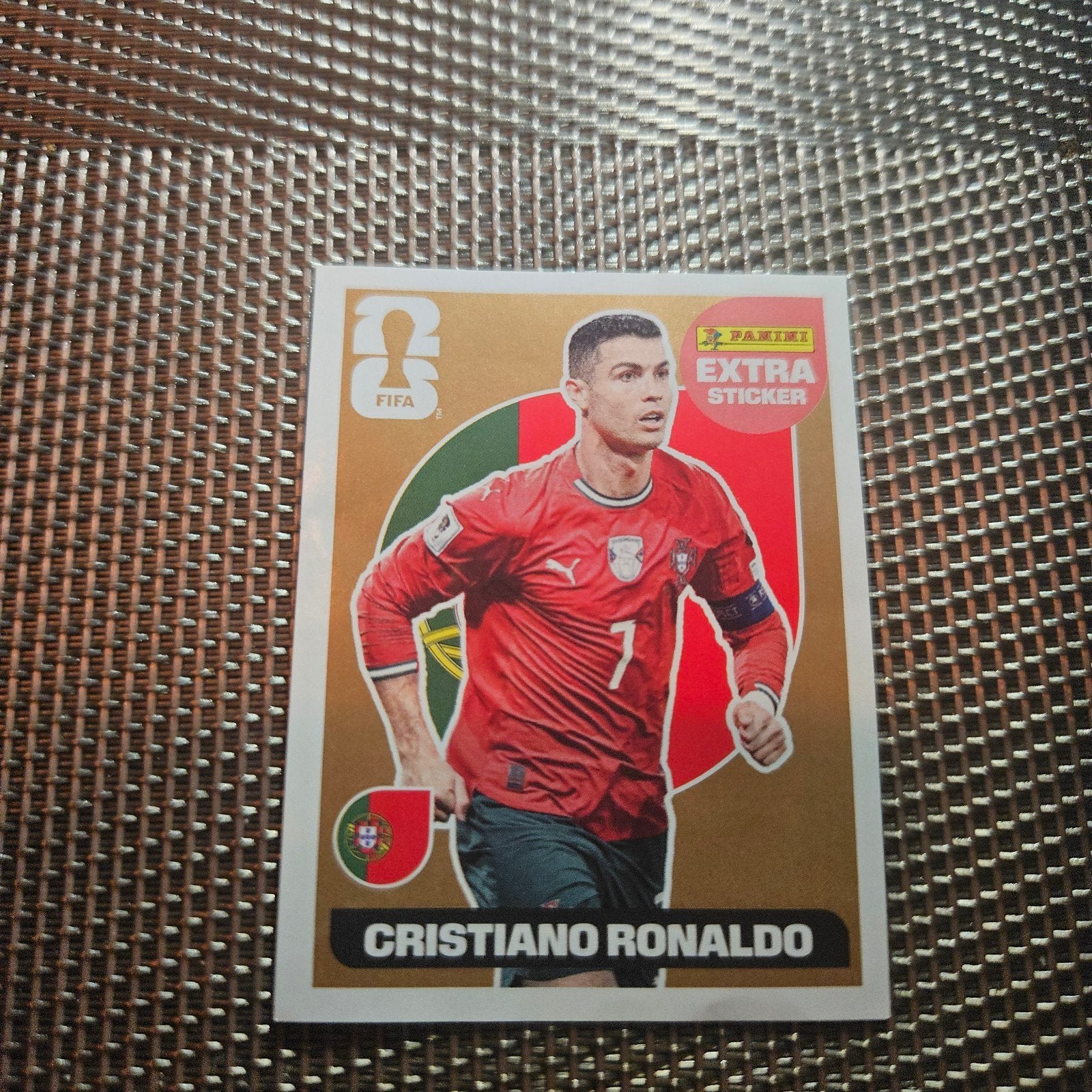 wk panini, Ophalen of Verzenden, Nieuw, Sticker
