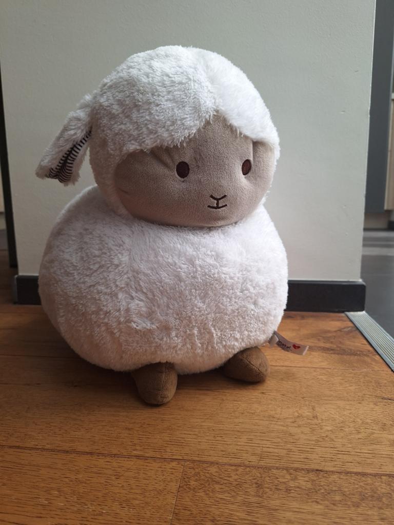 Schaap, Ophalen of Verzenden, Zo goed als nieuw, Overige typen