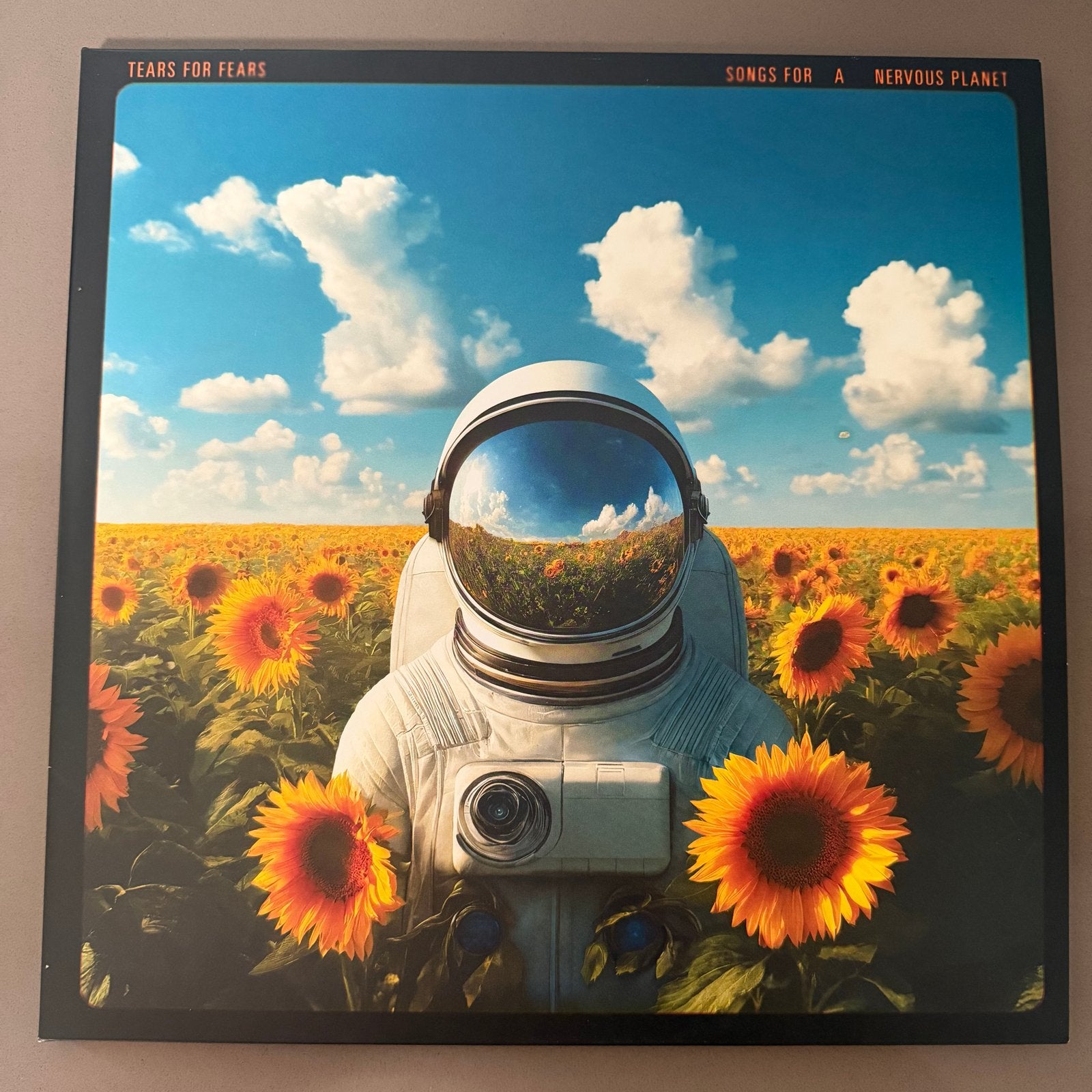 Tears for Fears - Songs for a Nervous Planet LP Coloured, LP, Pop, Colored vinyl, Ophalen of Verzenden