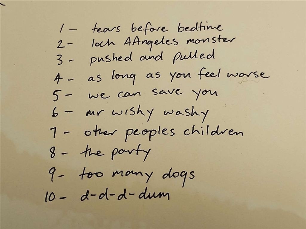 Starlings - Too many Dogs, Ophalen of Verzenden, Zo goed als nieuw, Poprock