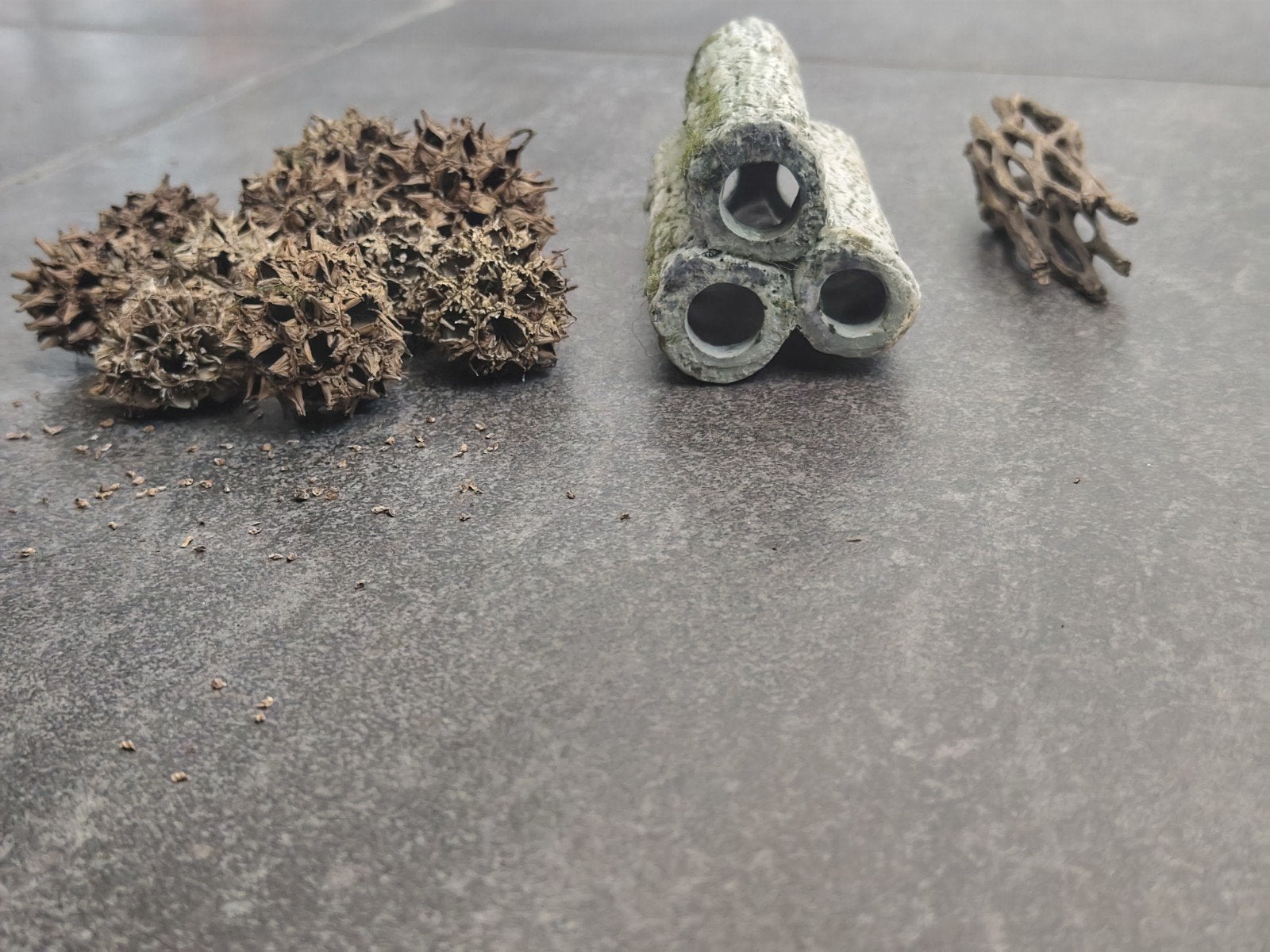 Schuilplaatsen voor bv garnalen, Dieren en Toebehoren, Ophalen, Zo goed als nieuw, Plant(en), Steen of Hout, Overige merken