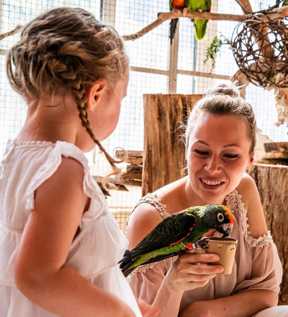 zoek samen met u kinderen de favorieten vogel soort uit