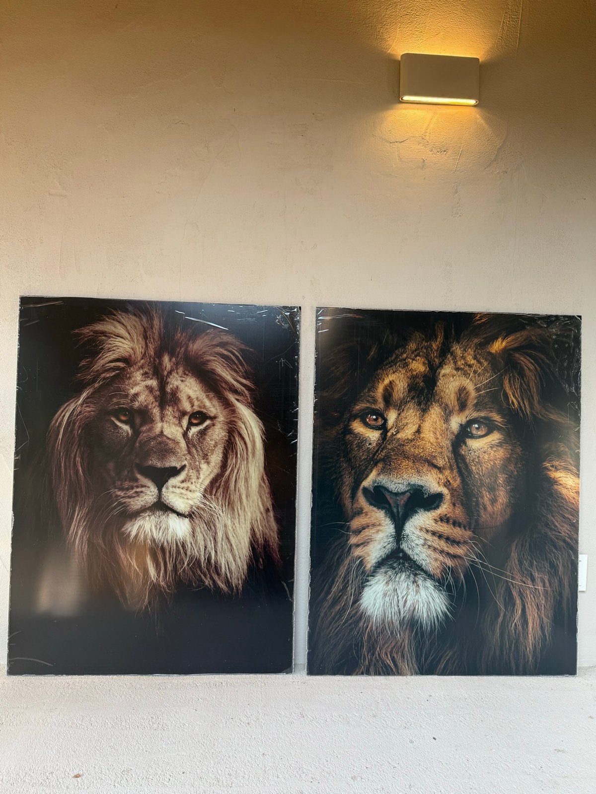Prints op plexiglas, Ophalen, Nieuw, Print, 75 – 100