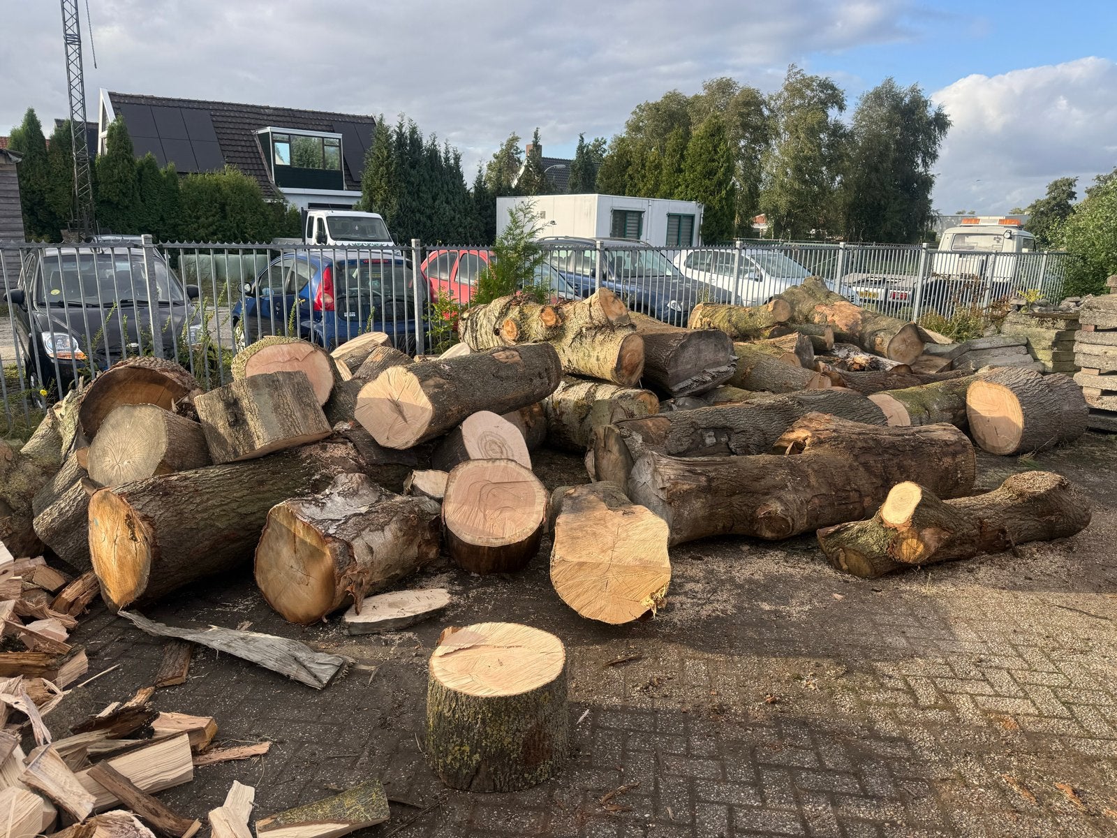 Stammen en blokken brandhout - eiken / essen / berken, 6 m³ of meer, Ophalen of Verzenden, Eikenhout, Stammen