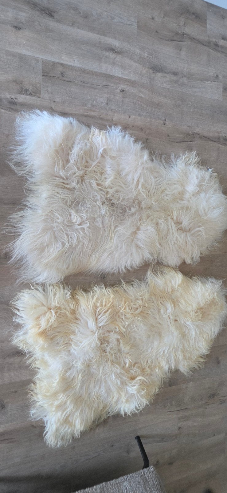 2x Texelana IJslandse schapenvacht langharig – camper/carav, Nieuw, Ophalen of Verzenden, Schapenvacht, 60 cm