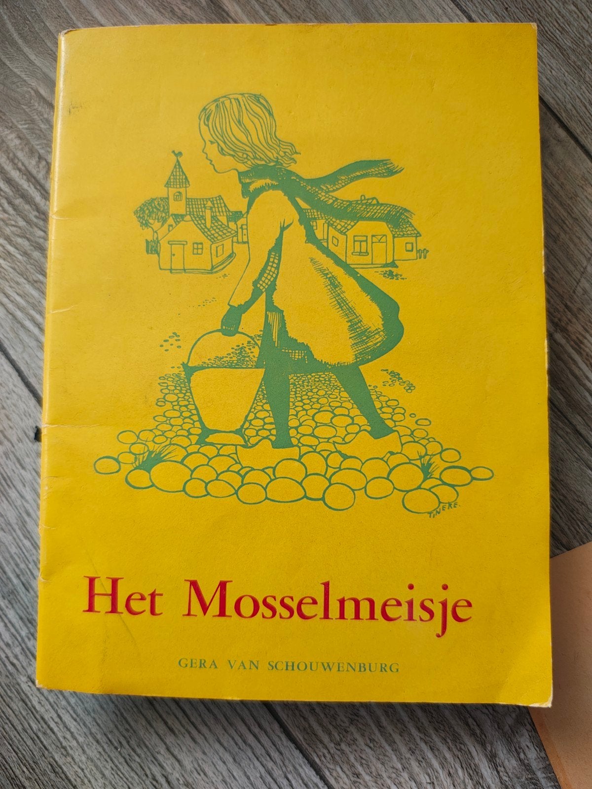 Diverse jaren '80 meisjesboeken - nostalgie en avontuur, Boeken, Ophalen of Verzenden, Gelezen, Diverse auteurs, Fictie