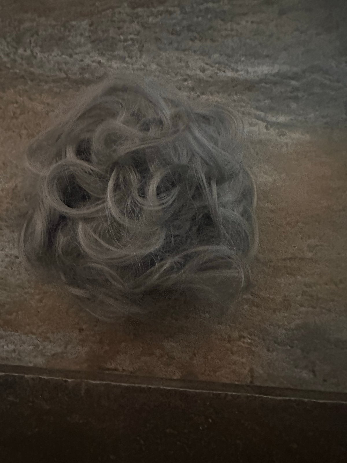 Nieuw Grijs Haar Knotje met Elastiek, Ophalen of Verzenden, Nieuw, Overige typen
