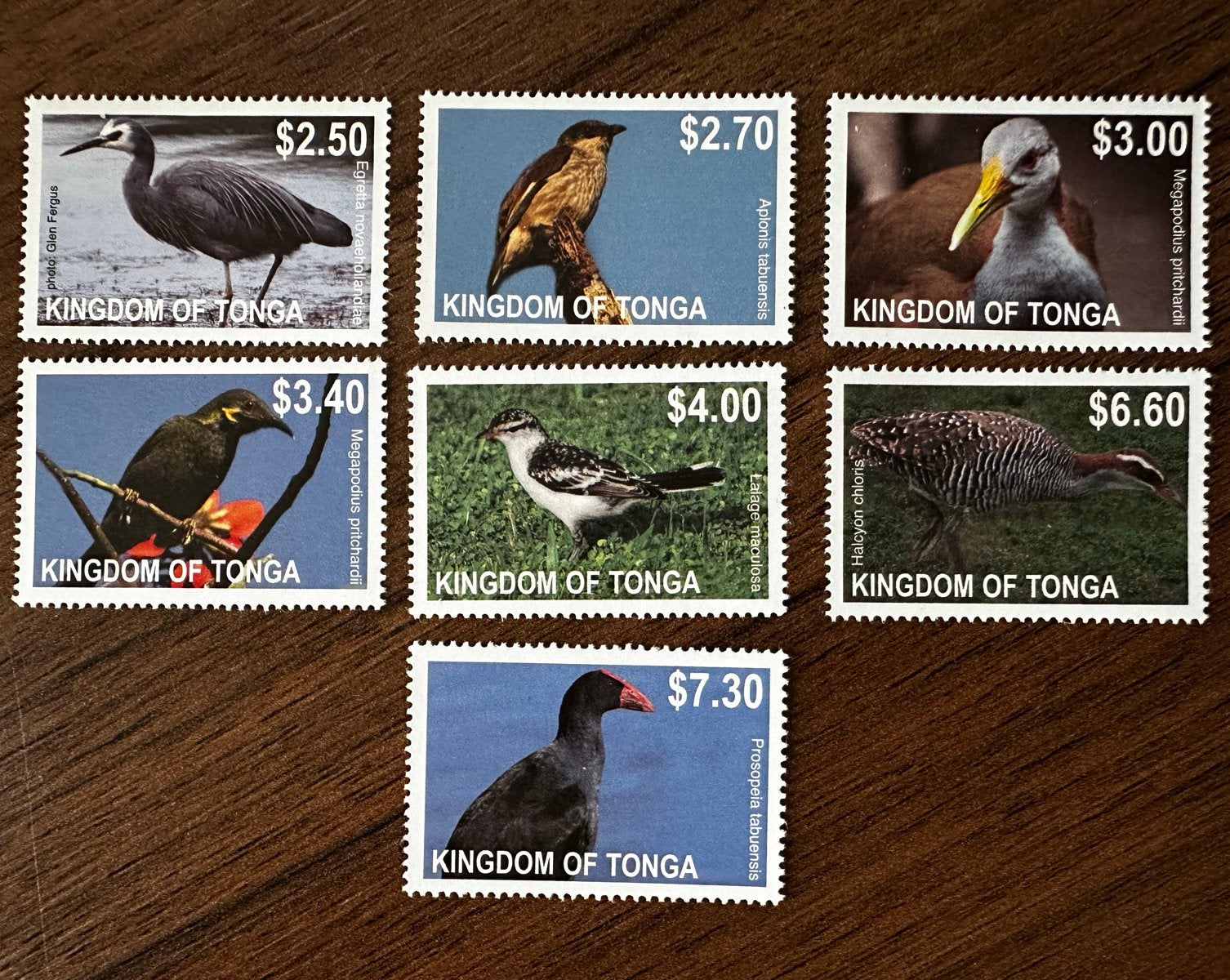 Tonga 2012 Vogels postfris, Ophalen of Verzenden, Postfris