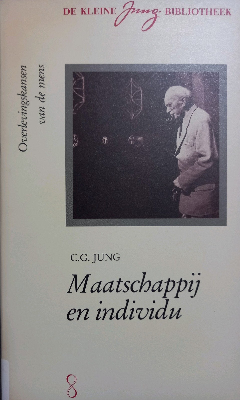 C.G. Jung - Maatschappij en individu (De Kleine Jung Bibliot, Ophalen of Verzenden, Gelezen, C.G. Jung, Nederland