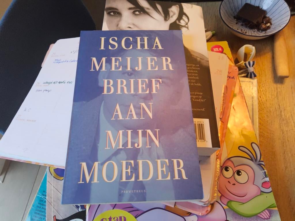 Ischa Meijer - Brief aan mijn moeder, Boeken, Ischa Meijer, Ophalen of Verzenden, Zo goed als nieuw, Nederland