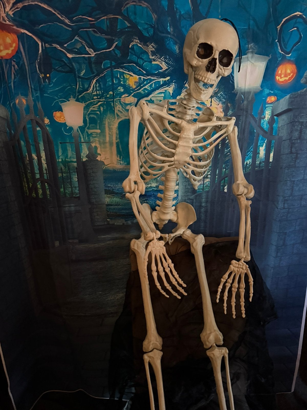 Halloween, Ophalen of Verzenden, Halloween of Griezel
