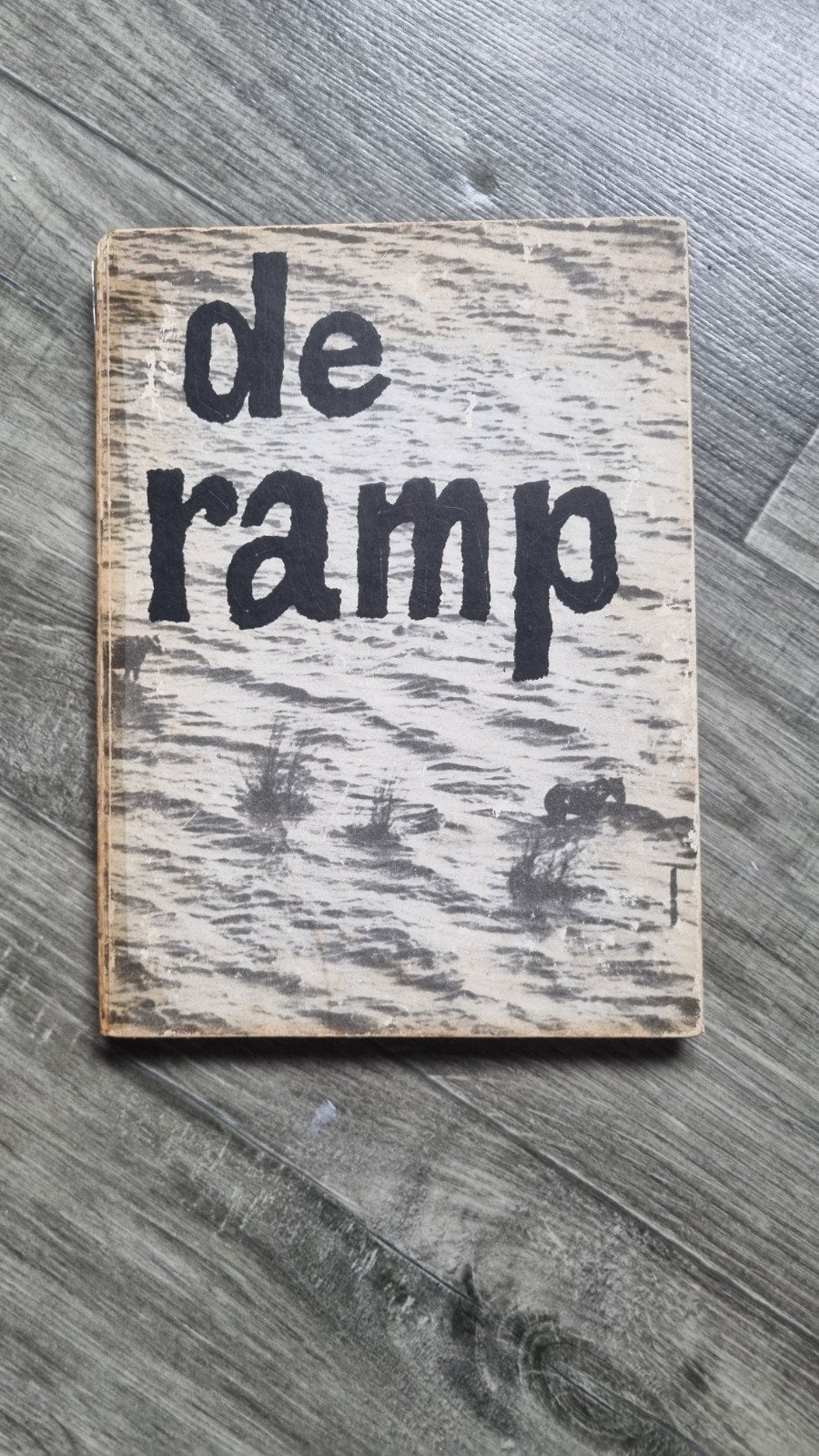 DE Ramp., Ophalen of Verzenden