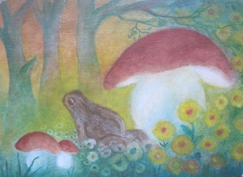 Paddestoelen uit zomerfeest van het woud - Julia Scholzen, Ophalen of Verzenden, 1980 tot heden, Gelopen, Overige thema's