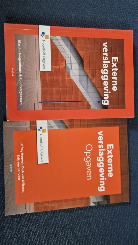 Martin Hoogendoorn - Externe verslaggeving incl opgavenboek, Sociale wetenschap, Ophalen of Verzenden, Martin Hoogendoorn; Ruud Vergoossen