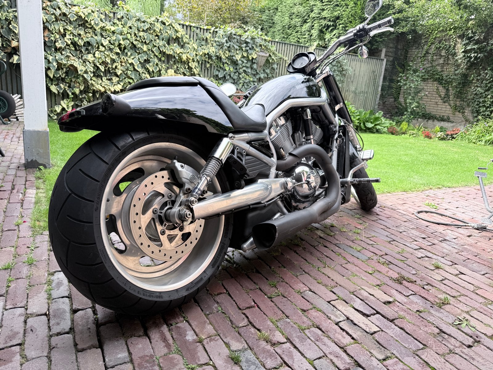 Harley-Davidson V-Rod Muscle - Krachtige Chopper, Motoren, Motoren | Harley-Davidson, 2 cilinders, Sportuitlaat, Gebruikt, Particulier