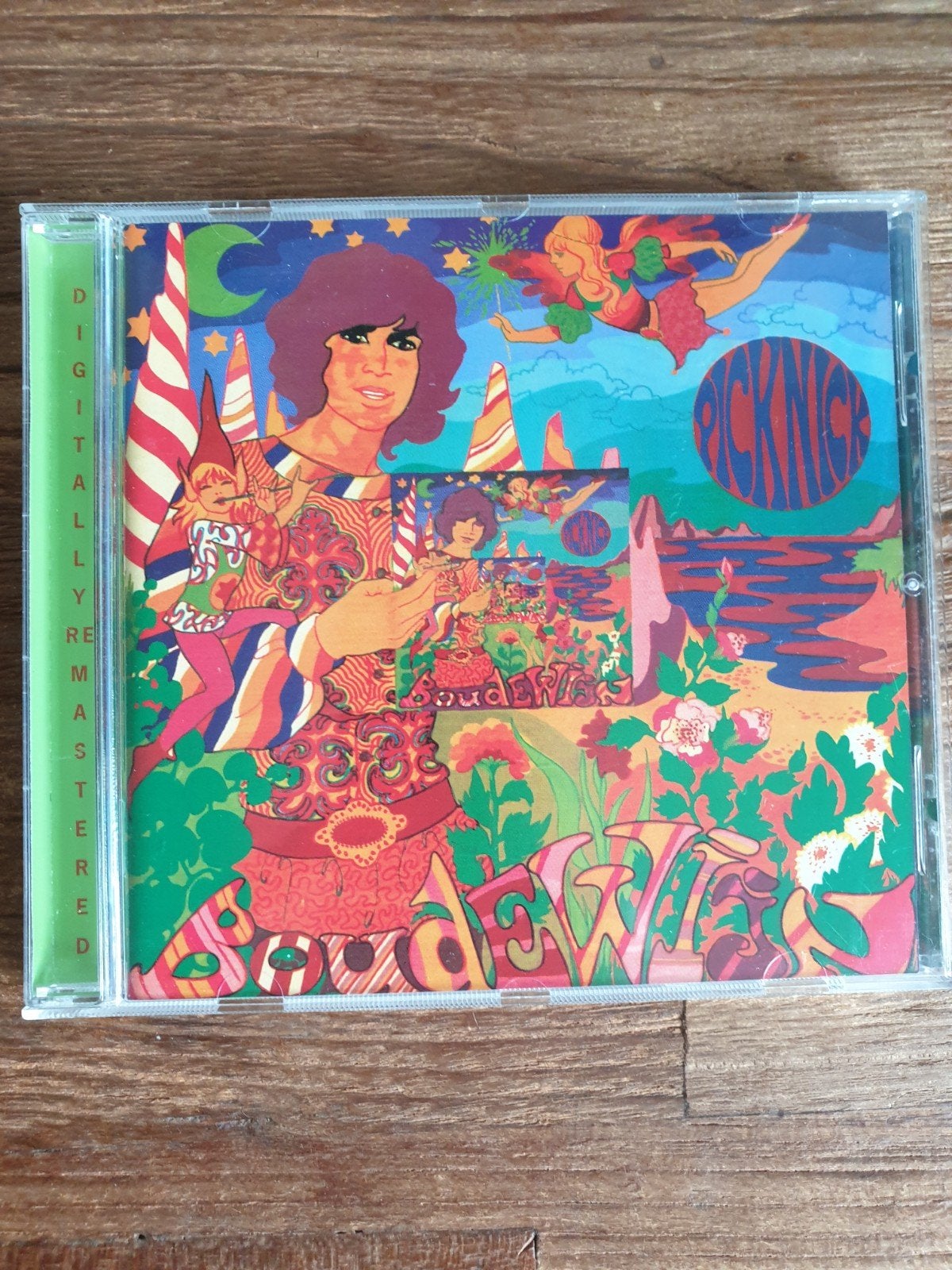 Boudewijn de Groot - Picknick CD (Digitally Remastered), Pop, Inclusief boekje, Ophalen of Verzenden, Zo goed als nieuw