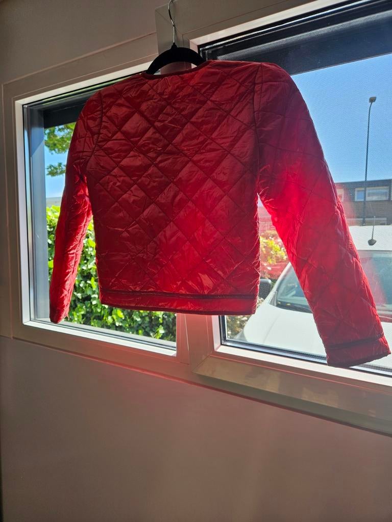 Rood gewatteerd jasje, Kleding | Dames, Jassen | Zomer, Maat 38/40 (M), Ophalen of Verzenden, Rood, Onbekend