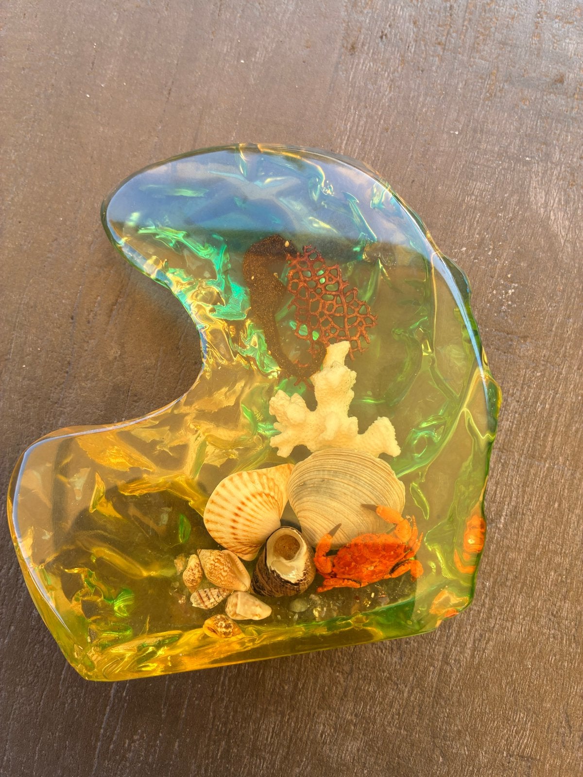 Uniek acryl hars decoratie stuk met zeedieren, Meerkleurig, Overige stijlen, Kunststof, Ophalen of Verzenden