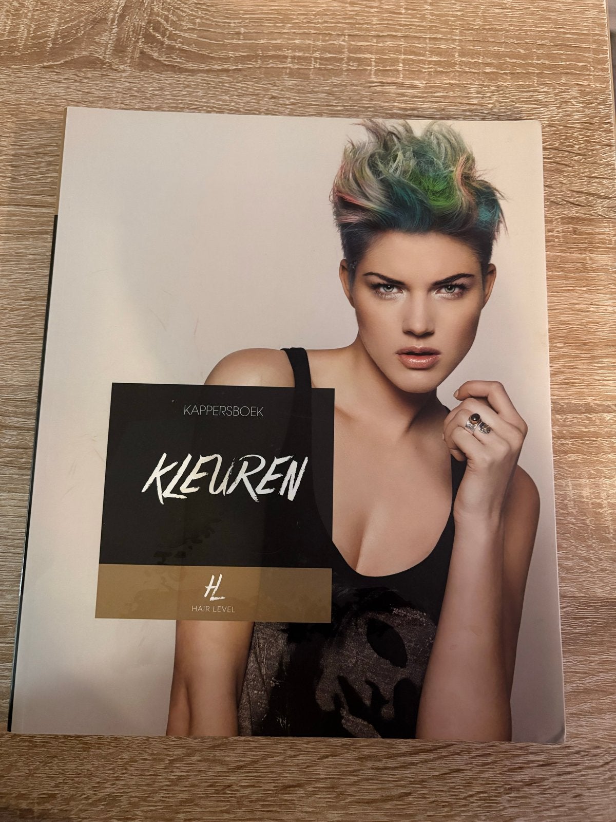 Kappersboek Kleuren Hair Level - Kleurenleer & Technieken, Boeken, Ophalen of Verzenden, Zo goed als nieuw, Overige onderwerpen