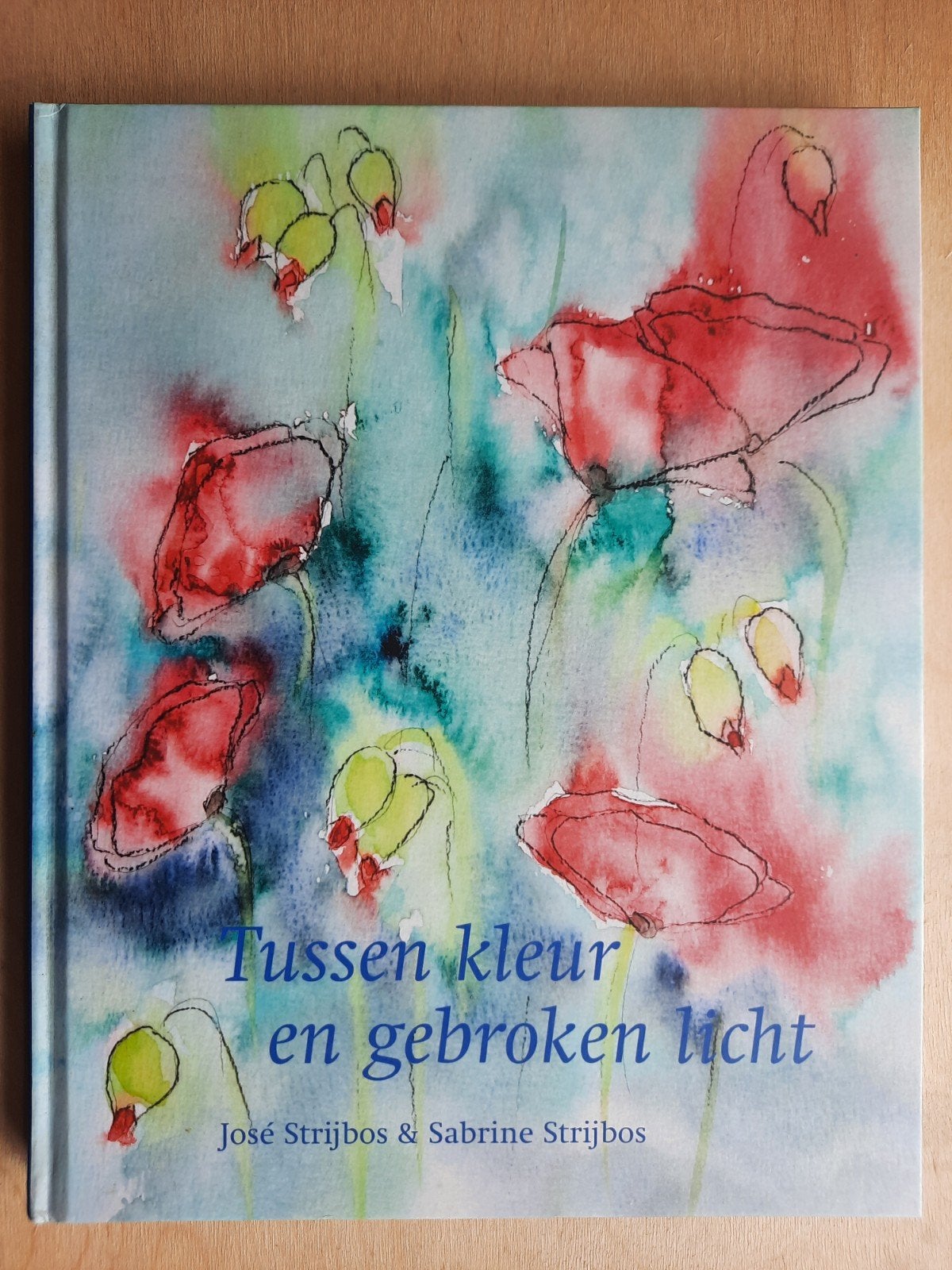S. Strijbos - Tussen kleur en gebroken licht, Ophalen of Verzenden, Zo goed als nieuw, S. Strijbos; J. Strijbos