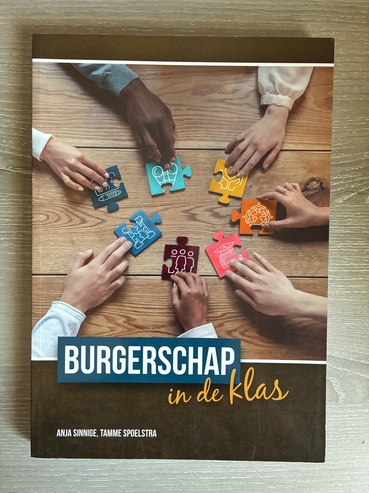 Burgerschap in de klas - Anja Sinnige, Tamme Spoelstra, Boeken, Ophalen of Verzenden, Gamma, Zo goed als nieuw, HBO