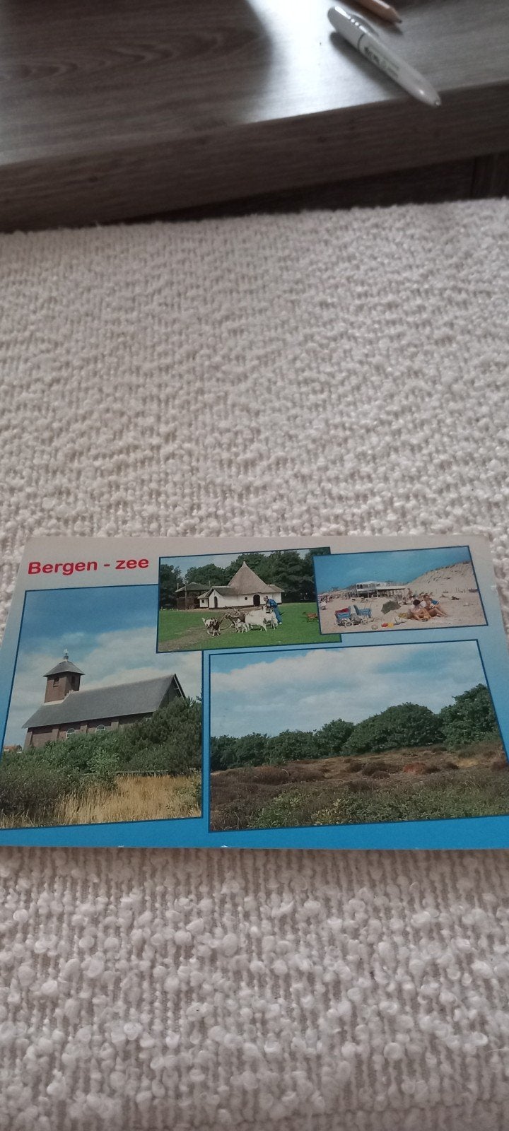ansichtkaart Bergen, Ophalen of Verzenden, Noord-Holland
