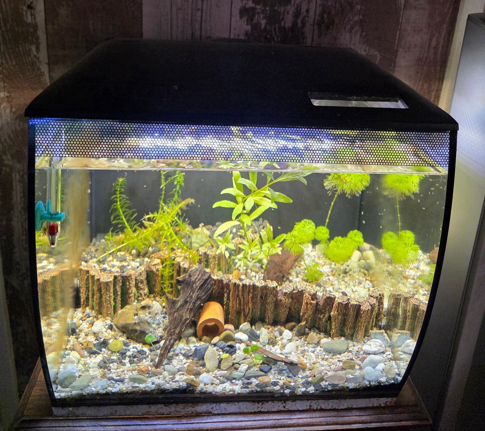 Fluval flex nano aquarium, Ophalen, Fluval, Inclusief toebehoren, Gevuld zoetwateraquarium