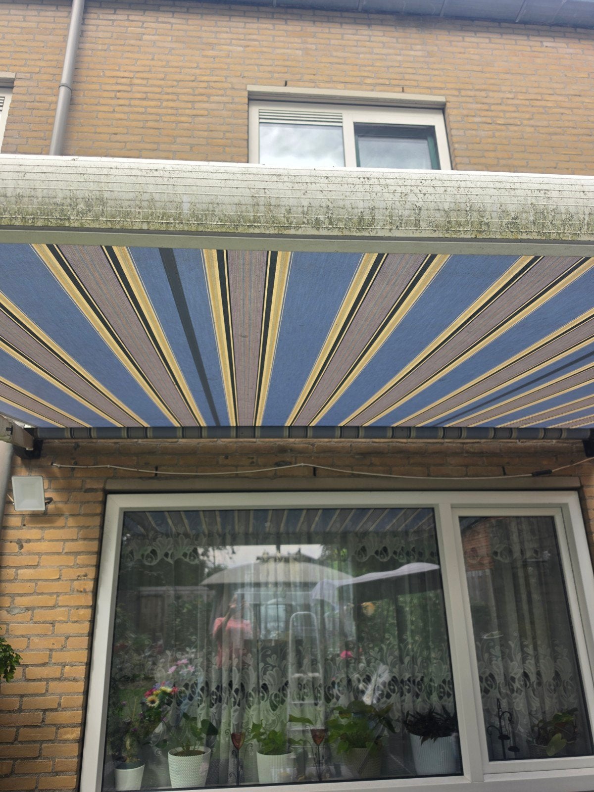 gebruikte knikarmscherm/ zonneluifel 3 meter breed, Tuin en Terras, Ophalen, Gebruikt, Elektrisch, 150 tot 300 cm