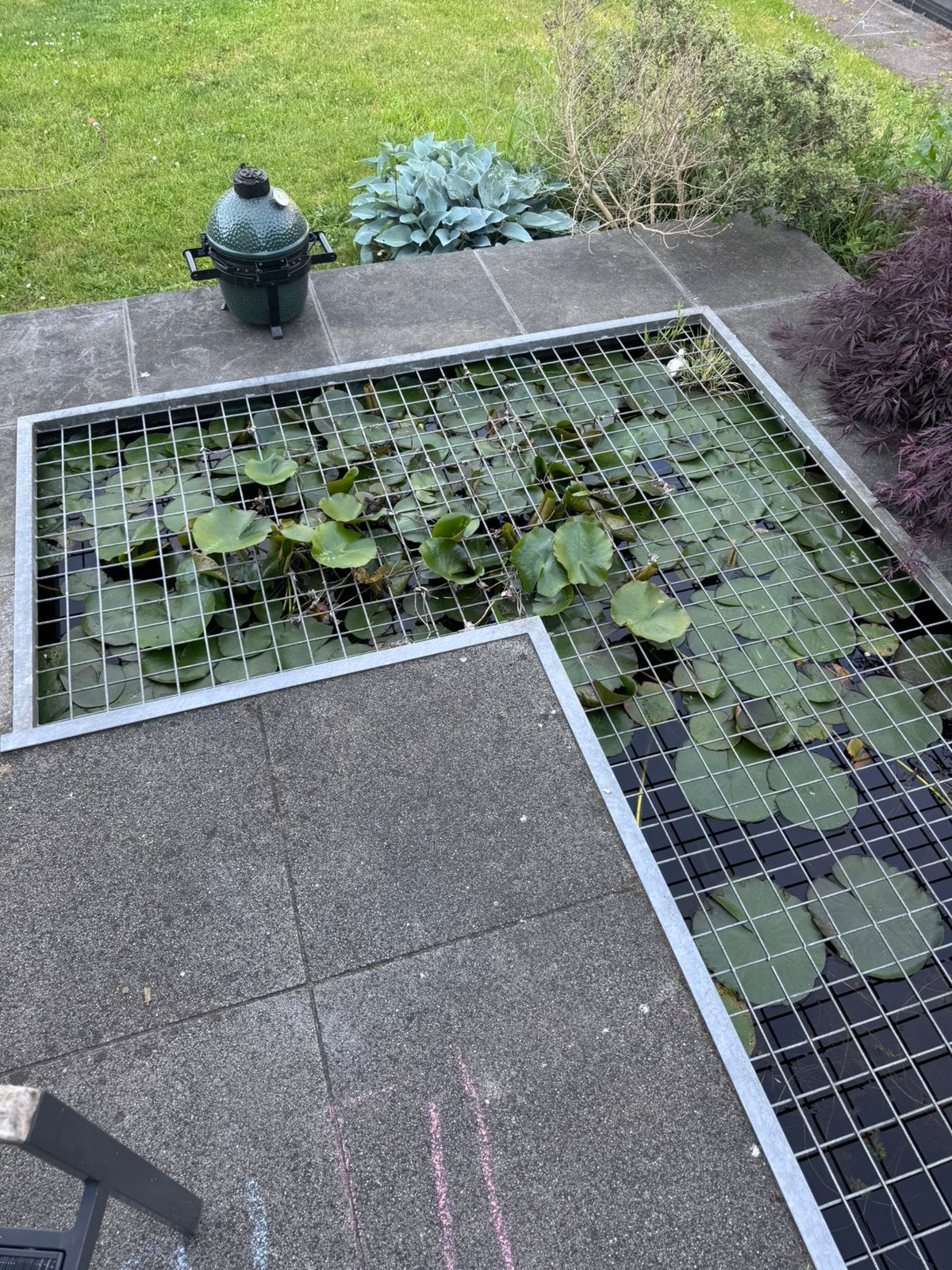 Prachtige roze waterlelies, Tuin en Terras, Ophalen, Zo goed als nieuw
