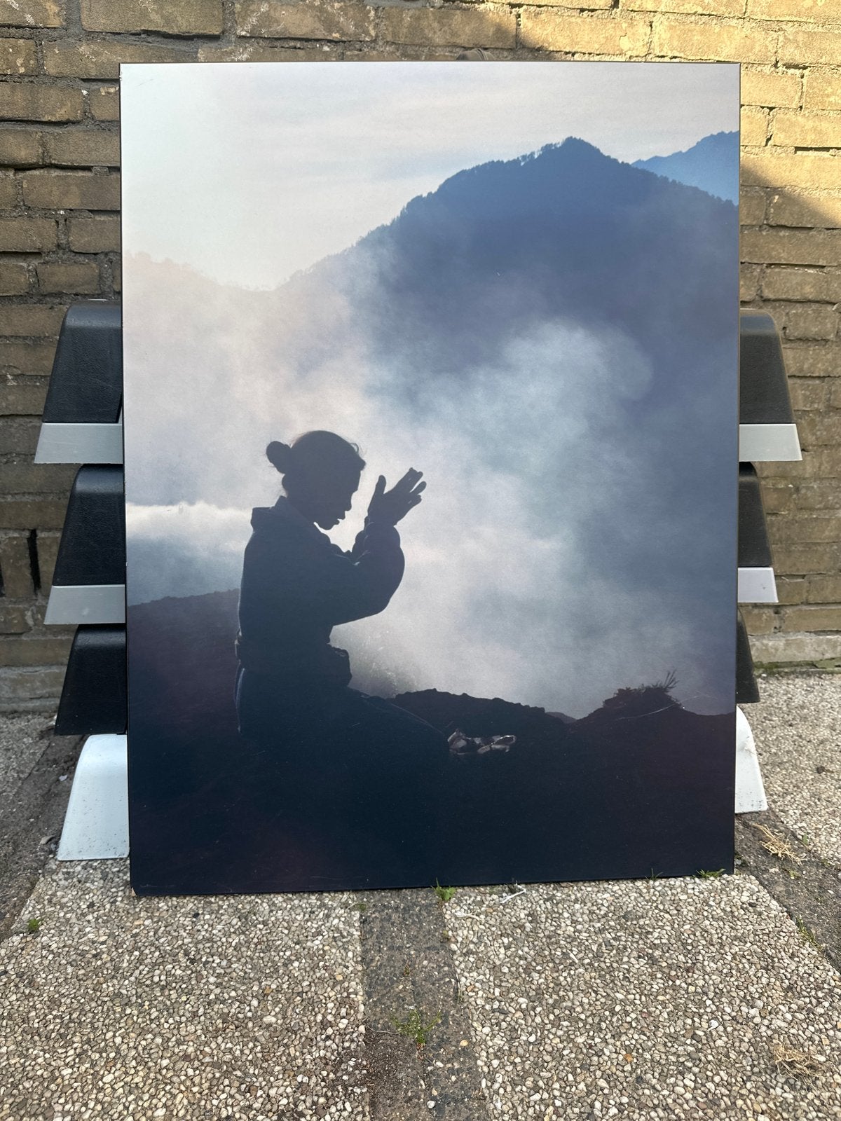 Mooi schilderij van een vrouw in de bergen, Ophalen