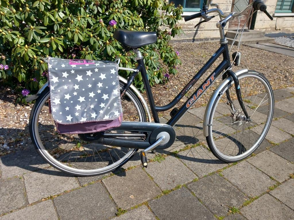 Goede giant freerider 28 inch aluminium Frame, Fietsen en Brommers, Fietsen | Dames | Damesfietsen, Ophalen, Versnellingen, Giant