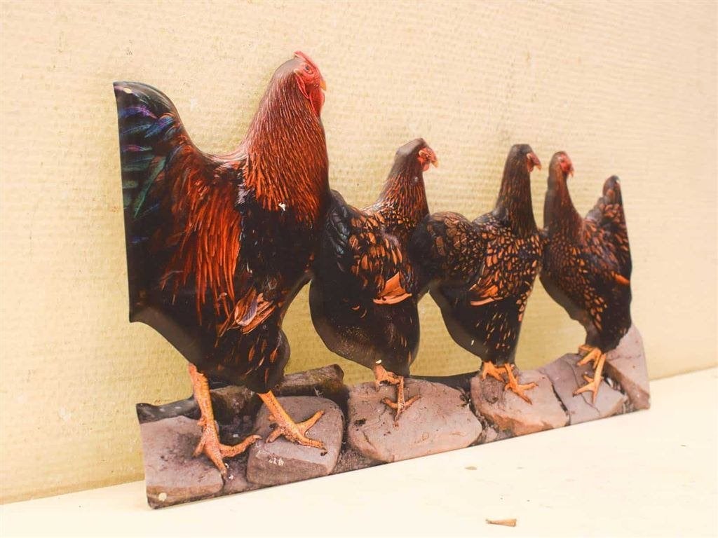 Metalen bord met kippen 53300, Ophalen of Verzenden, Gebruikt